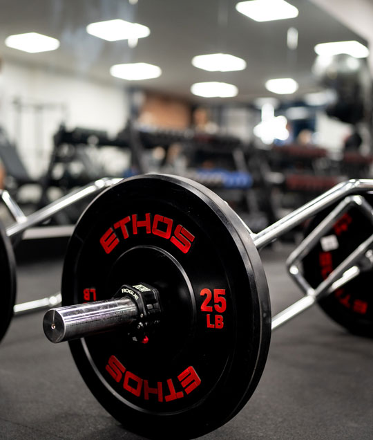 lift weights at serenity